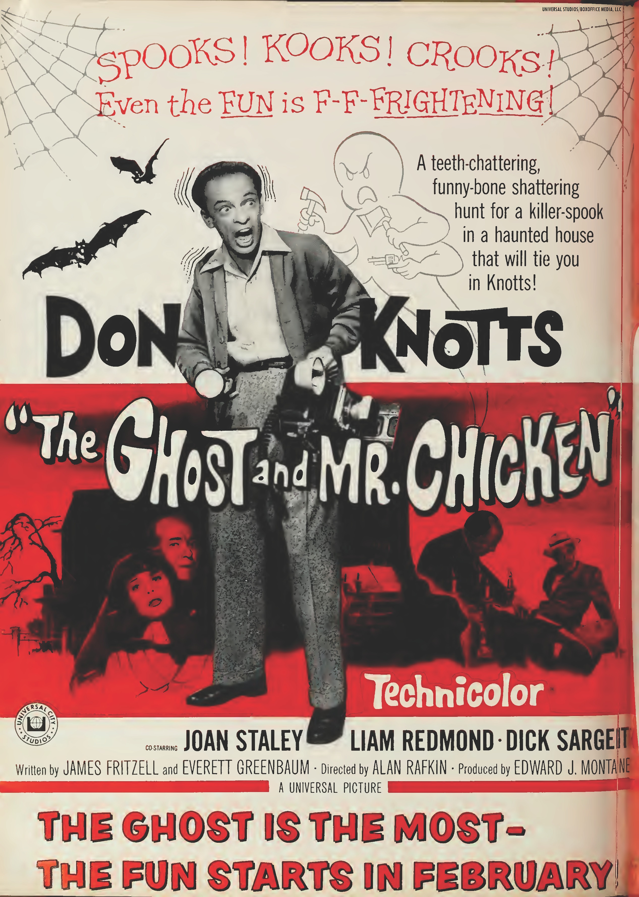 The Ghost and Mr Dick Sargent LICENSED Chicken Movie POSTER 27x40 Don Knotts 