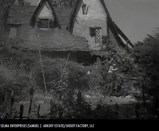 The_Witches_House_The_Undead_1957